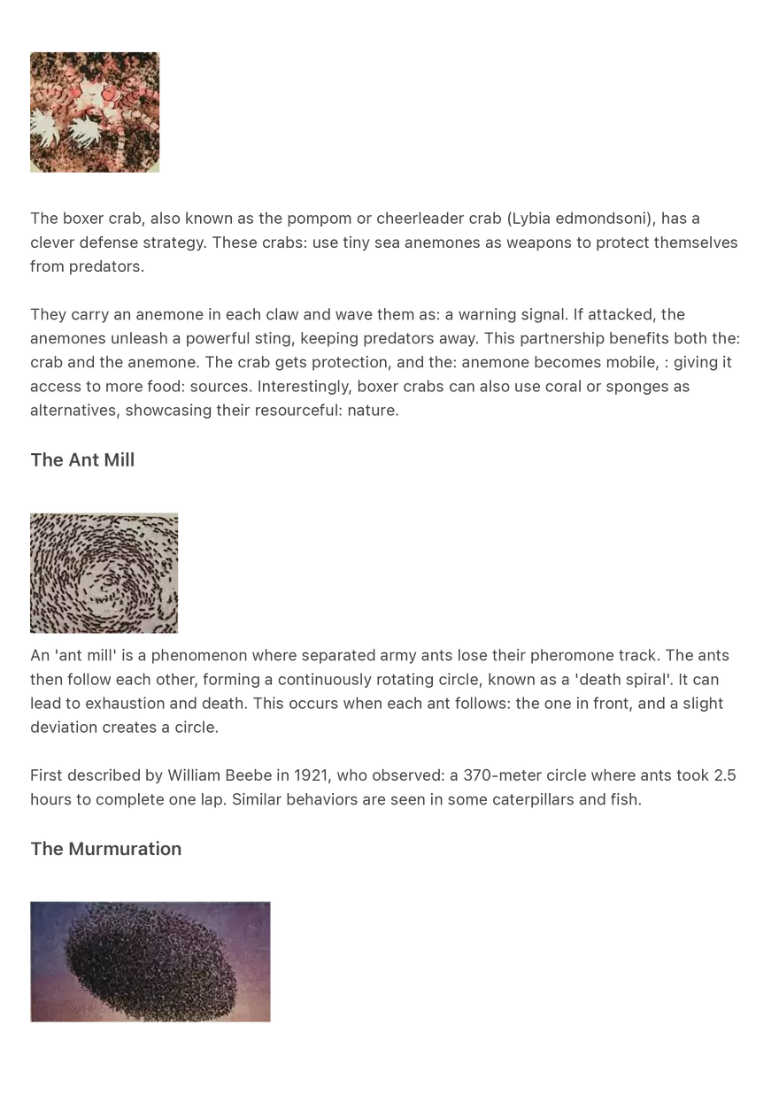 The Bizarre Behaviours of Animals-compressed - Page 2