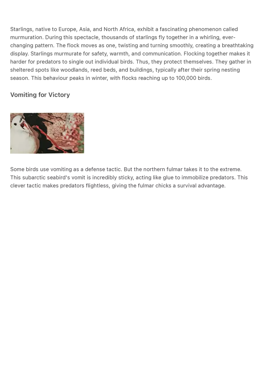The Bizarre Behaviours of Animals-compressed - Page 3