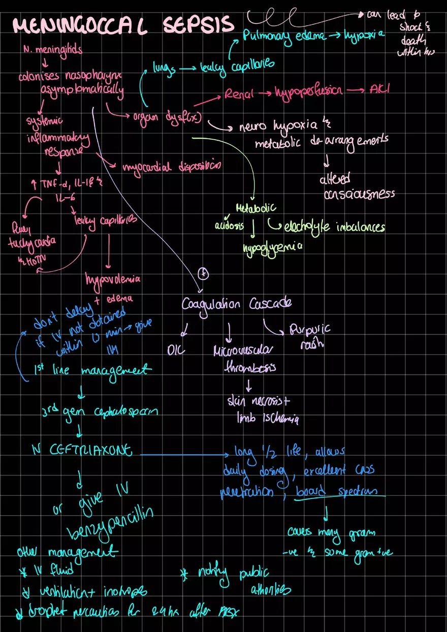 Notes Meningococcal Sepsis - Page 1