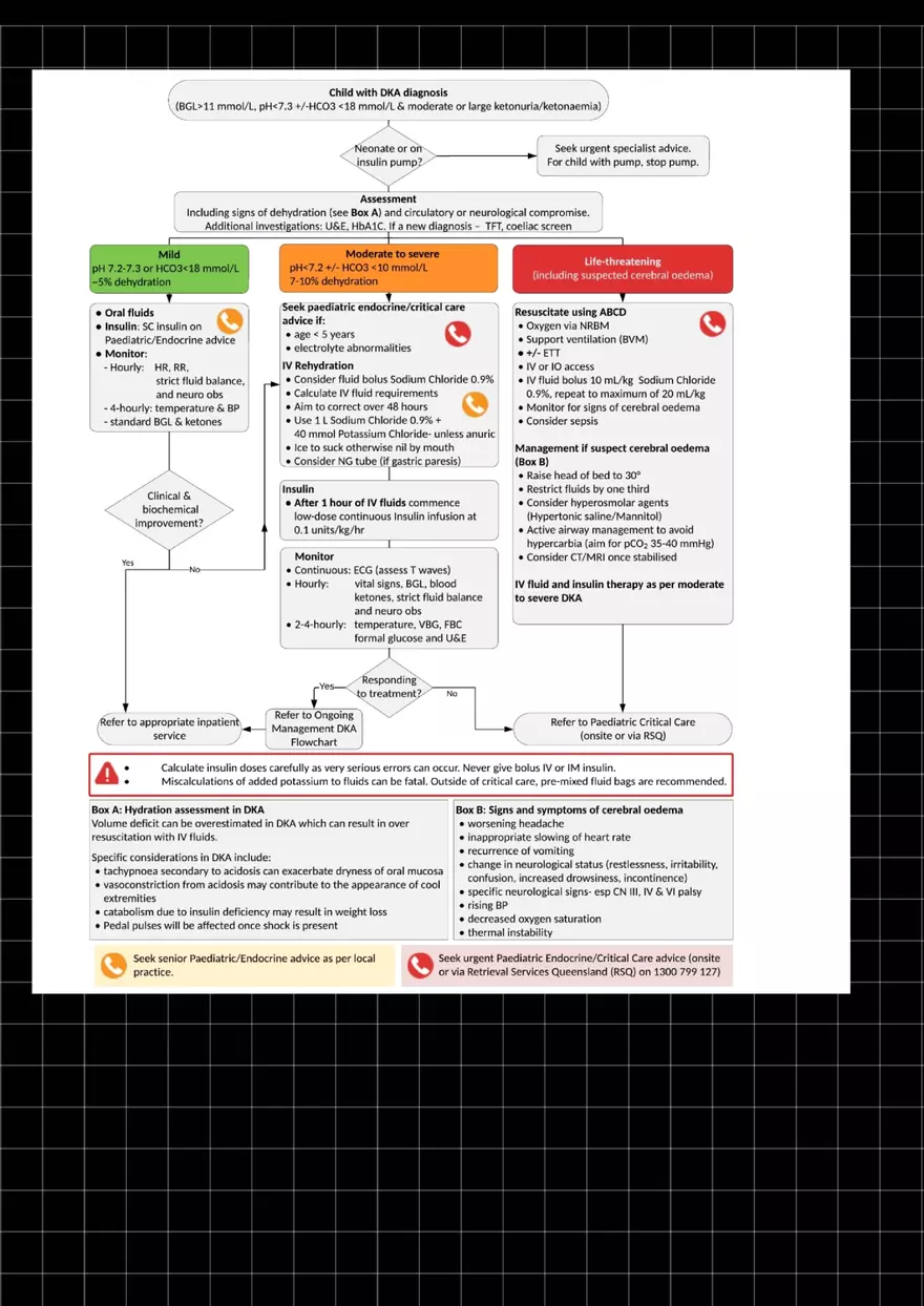 T1DM and DKA - Page 7