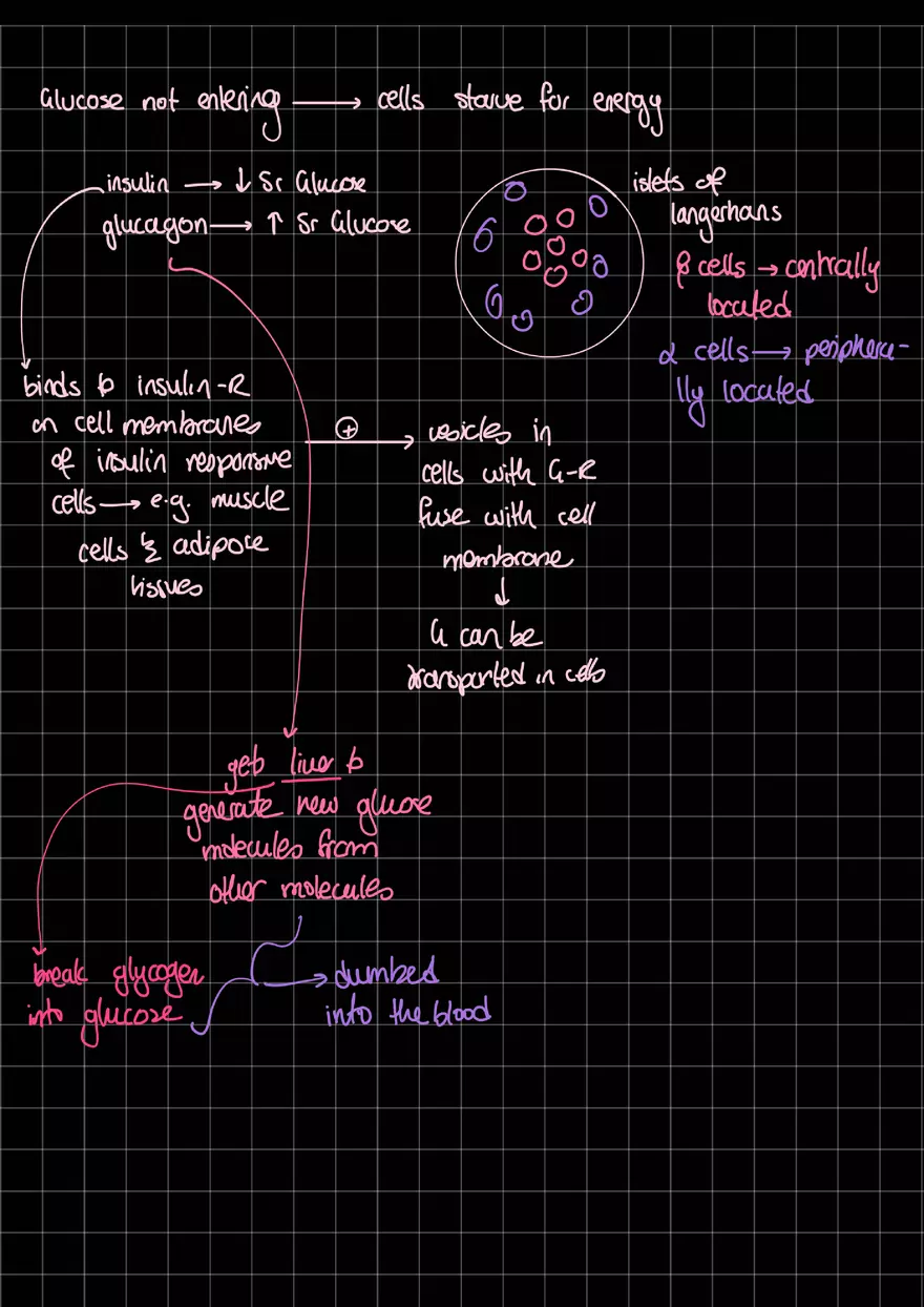 T1DM and DKA - Page 1