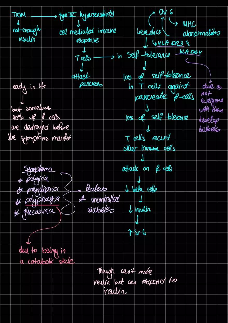 T1DM and DKA - Page 2