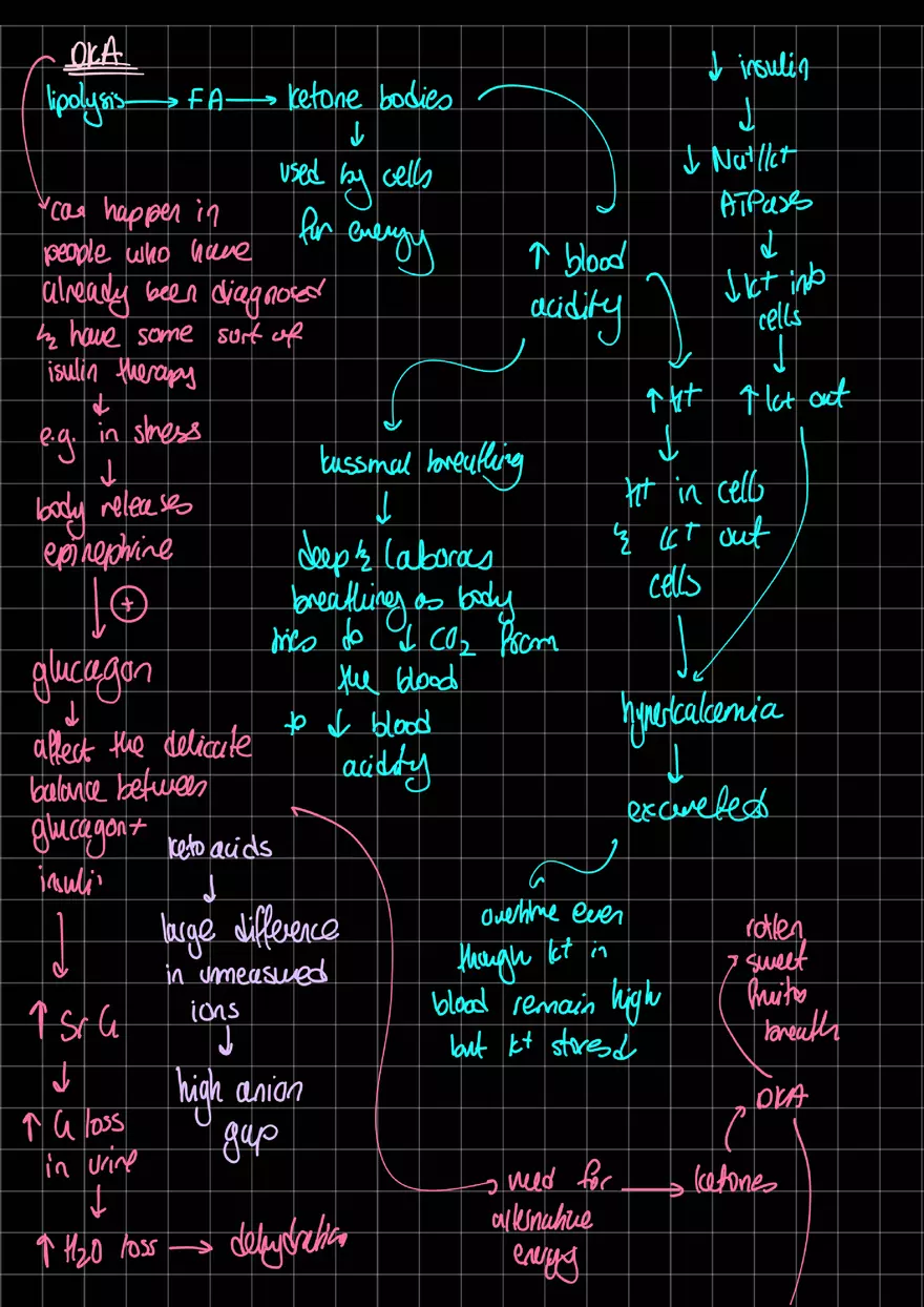 T1DM and DKA - Page 3