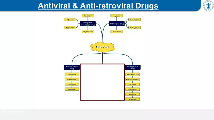 9. Antiviral Drugs - Page 24