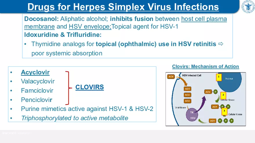 9. Antiviral Drugs - Page 32