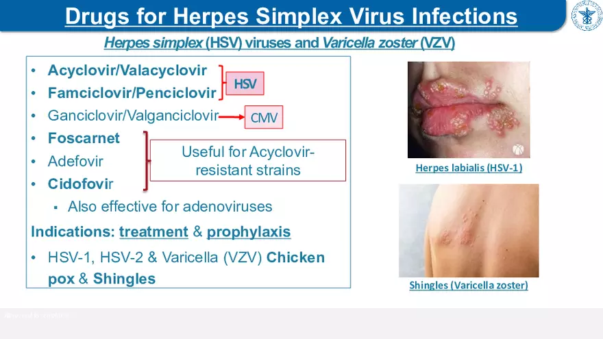 9. Antiviral Drugs - Page 33