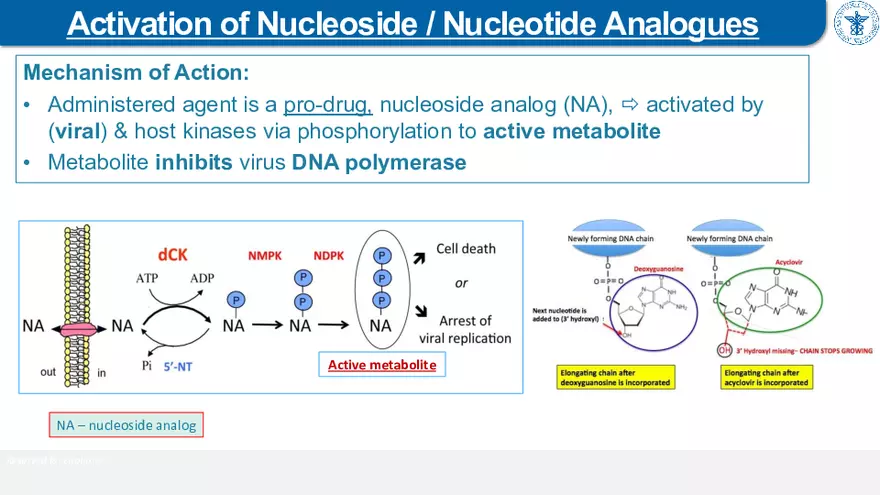 9. Antiviral Drugs - Page 34