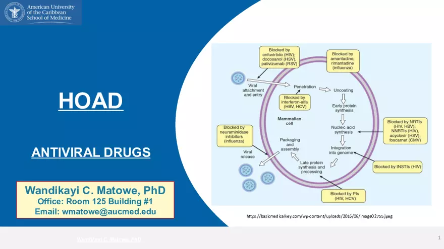 9. Antiviral Drugs - Page 1