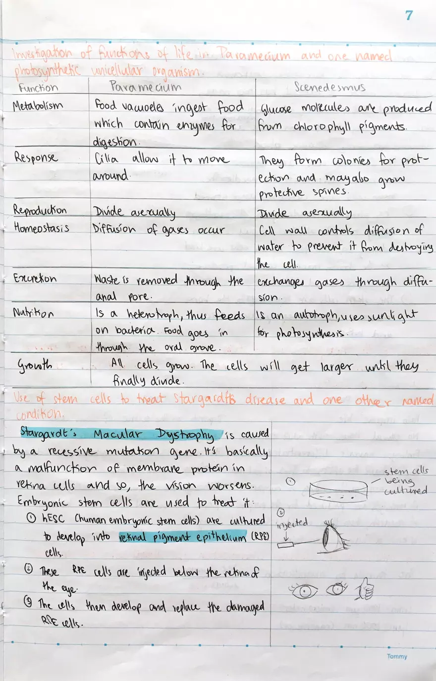 1.1 Introduction to Cells - Page 7
