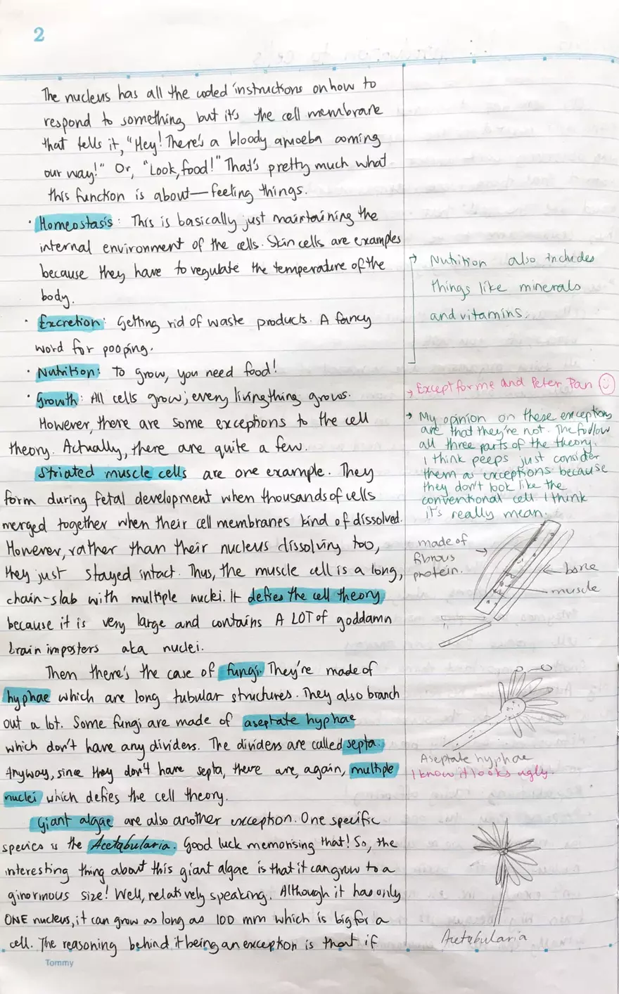 1.1 Introduction to Cells - Page 2