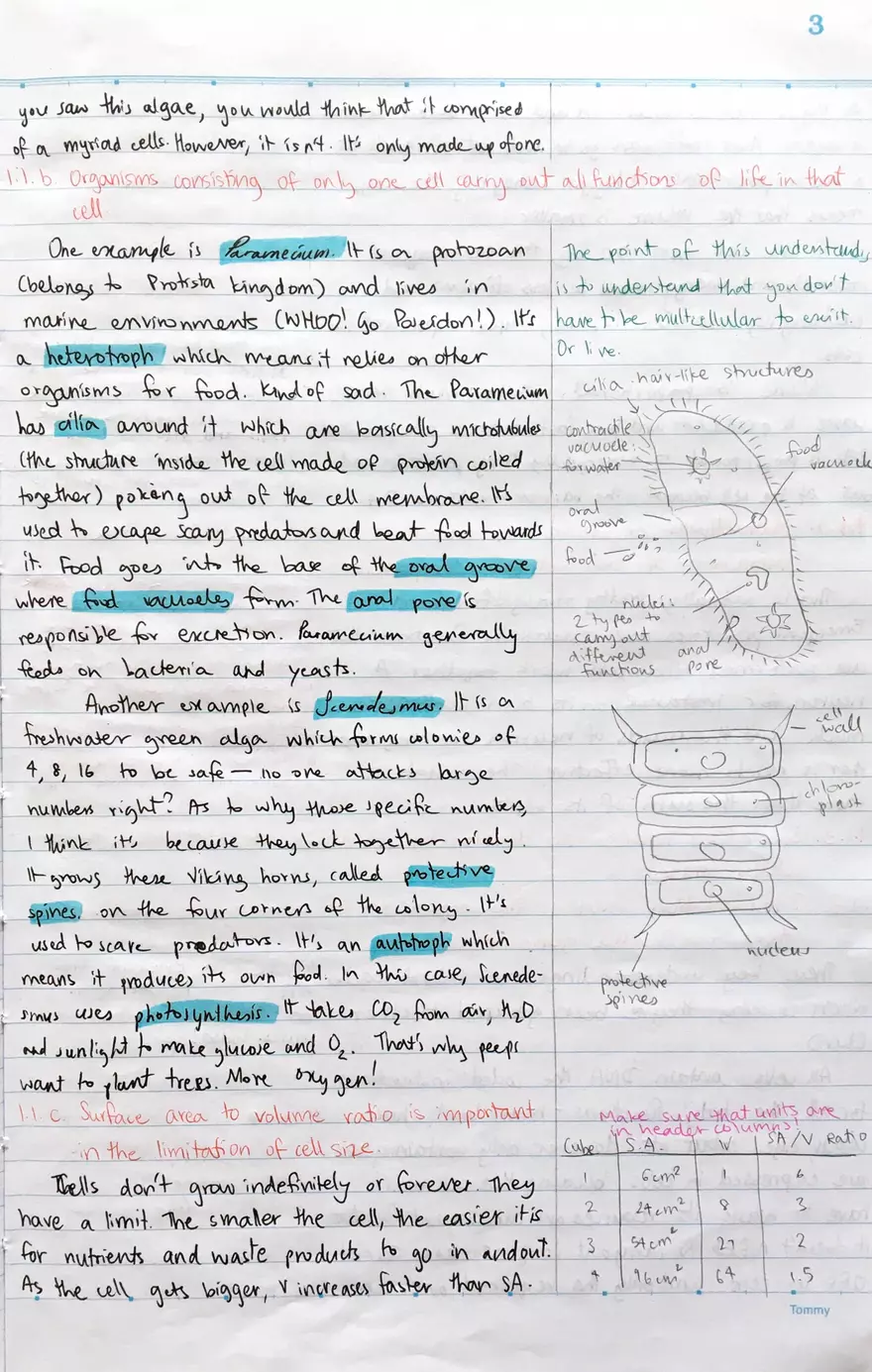 1.1 Introduction to Cells - Page 3
