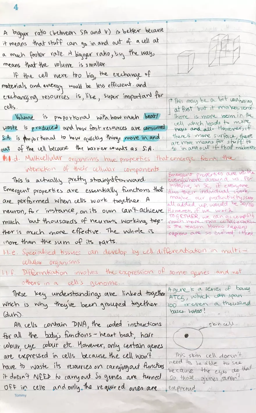 1.1 Introduction to Cells - Page 4