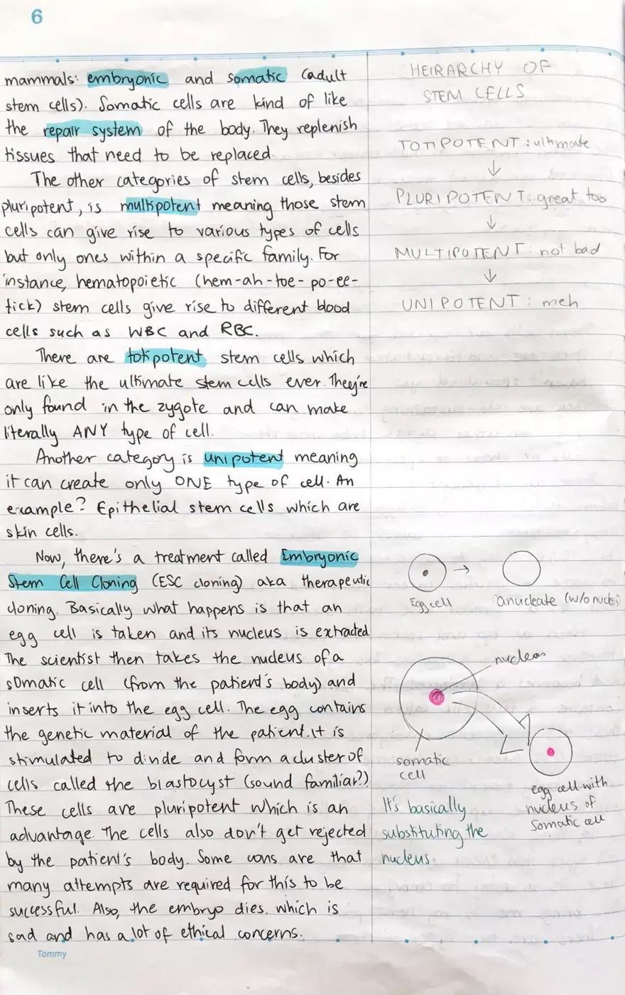 1.1 Introduction to Cells - Page 6