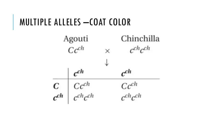 Modification To Mendel’s Classic Ratios - Page 7
