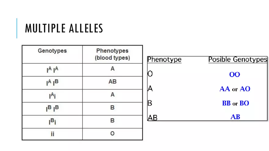 Modification To Mendel’s Classic Ratios - Page 15