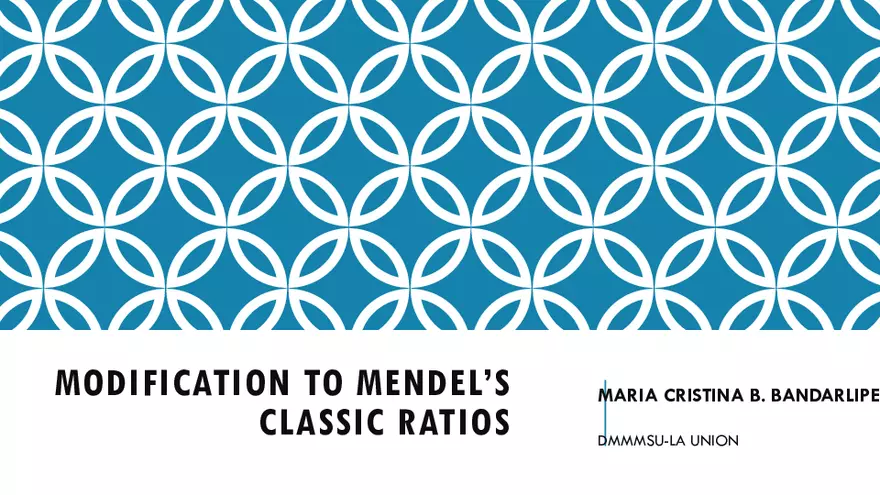 Modification To Mendel’s Classic Ratios - Page 1