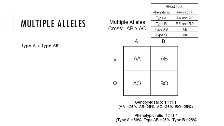 Modification To Mendel’s Classic Ratios - Page 3