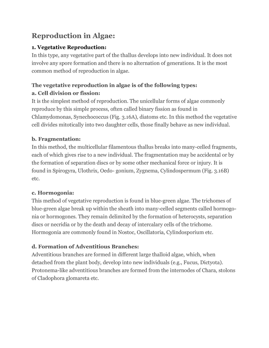 Algae Definition Characteristics and Structure - Page 8