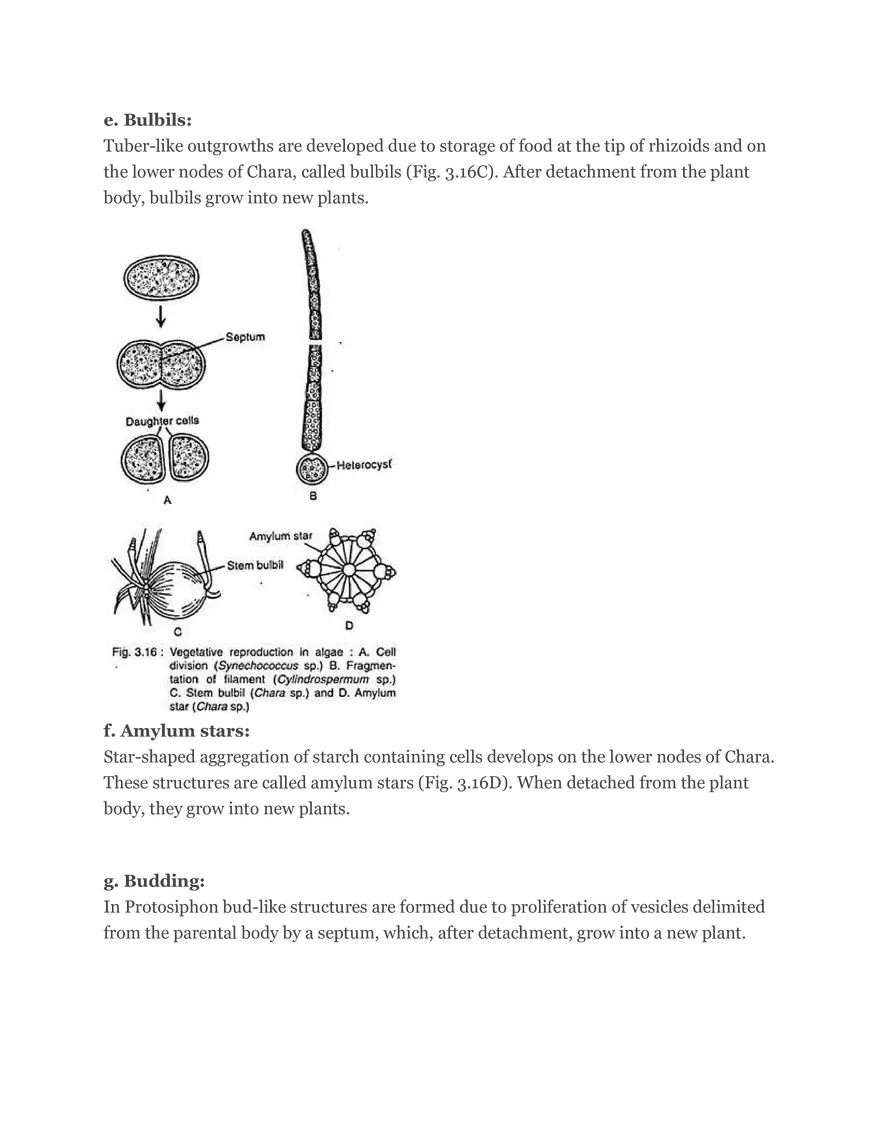 Algae Definition Characteristics and Structure - Page 9