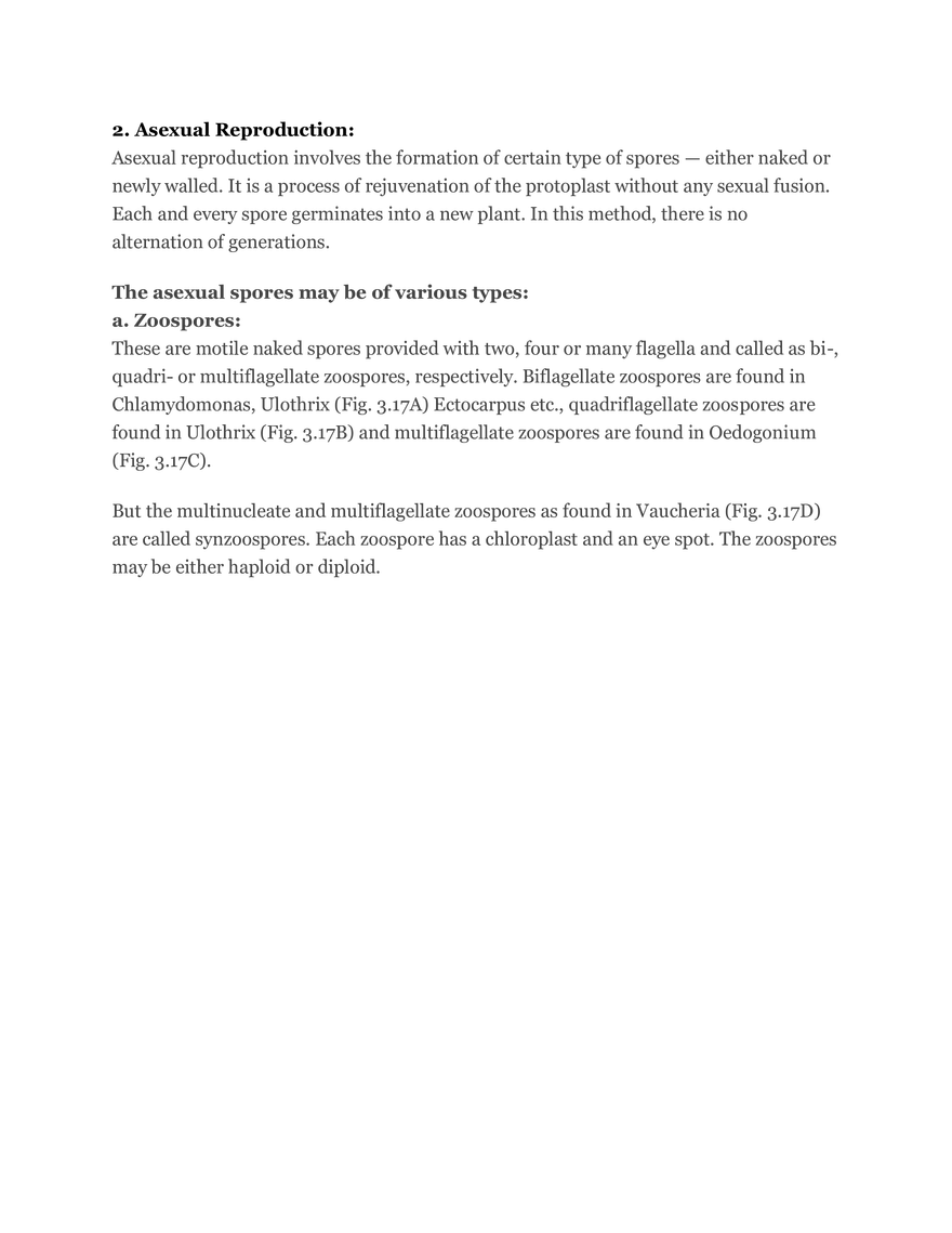 Algae Definition Characteristics and Structure - Page 10