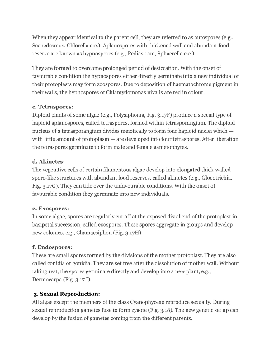 Algae Definition Characteristics and Structure - Page 12