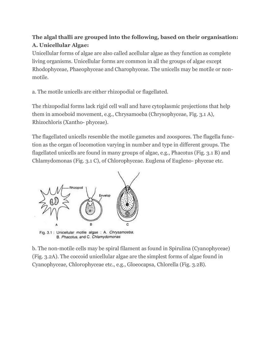 Algae Definition Characteristics and Structure - Page 19