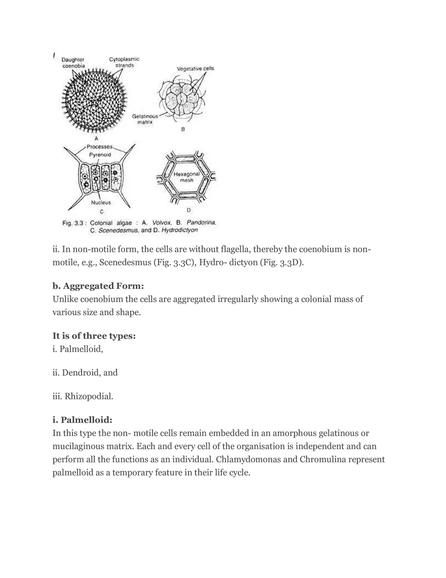 Algae Definition Characteristics and Structure - Page 21