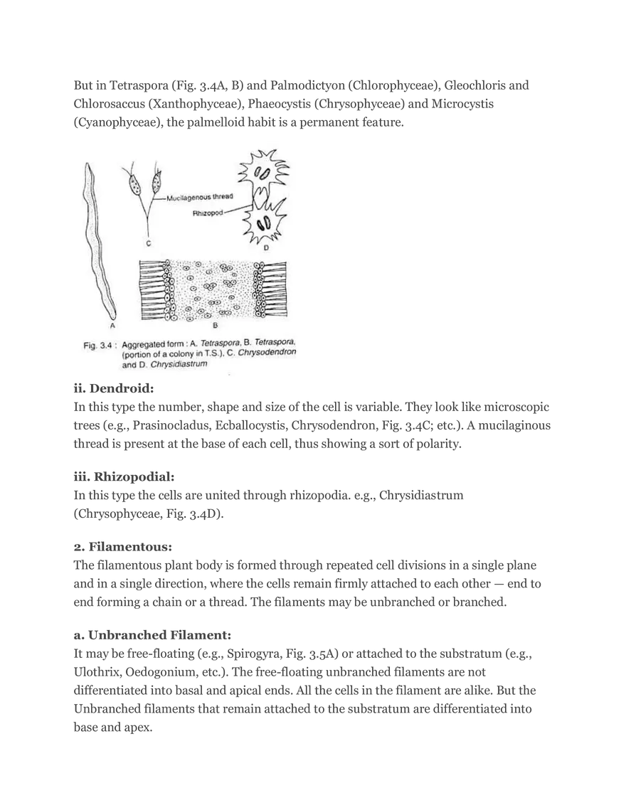 Algae Definition Characteristics and Structure - Page 22