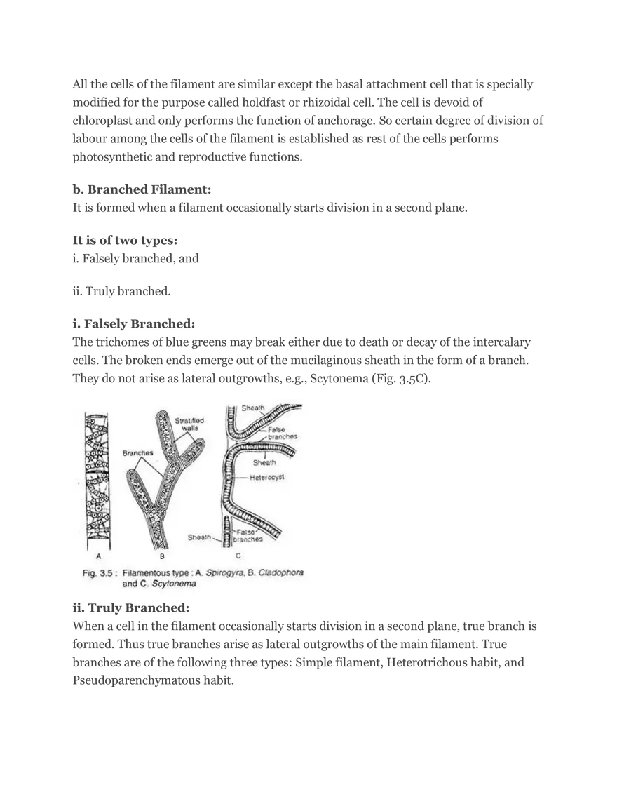 Algae Definition Characteristics and Structure - Page 23