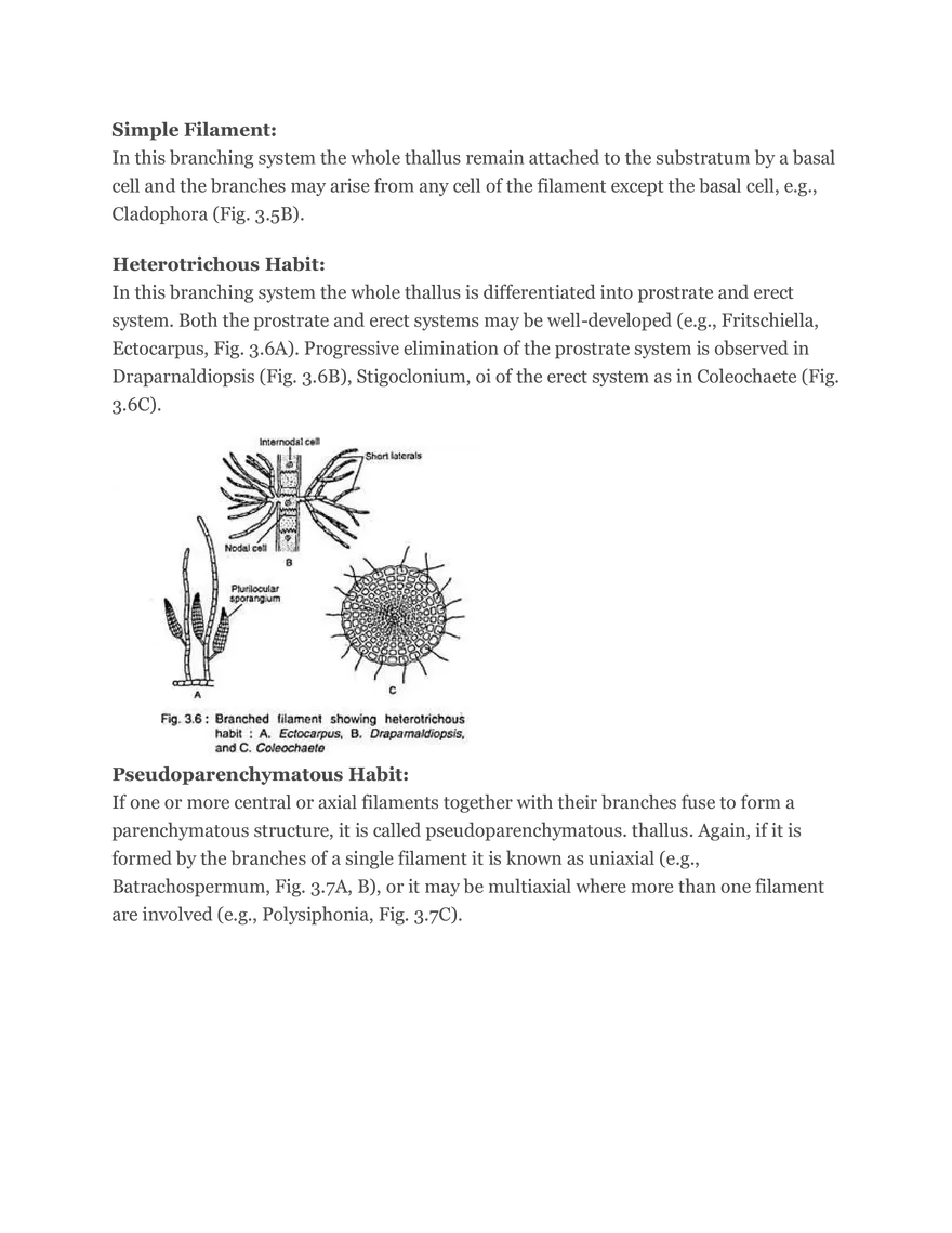 Algae Definition Characteristics and Structure - Page 3