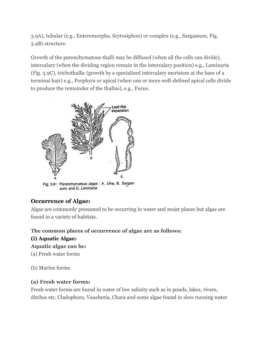 Algae Definition Characteristics and Structure - Page 5