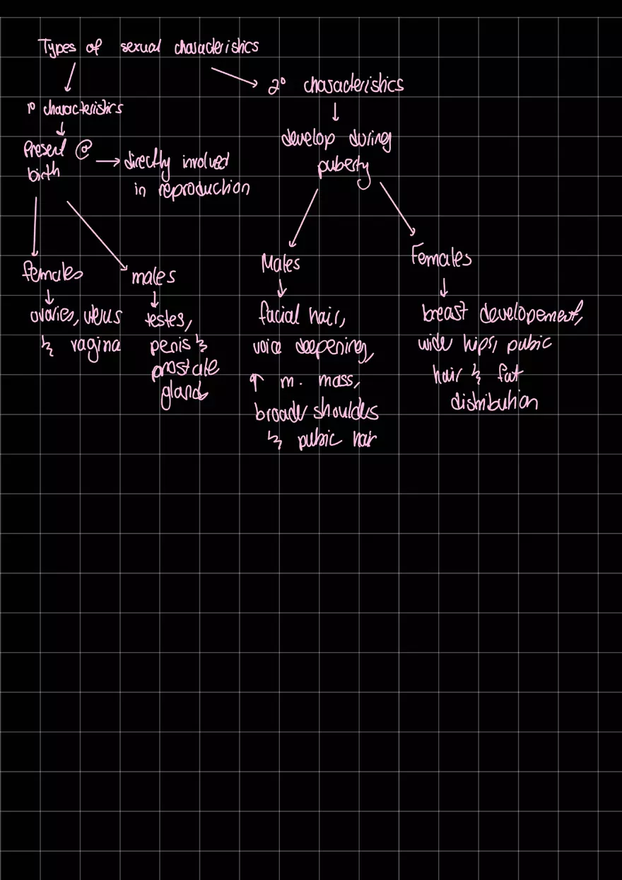 Precocious Puberty - Page 2