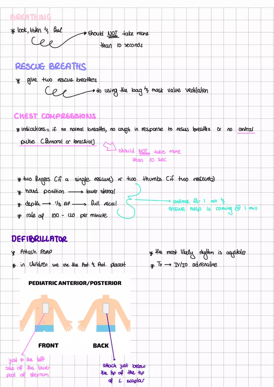 Basic Life Support - Page 2