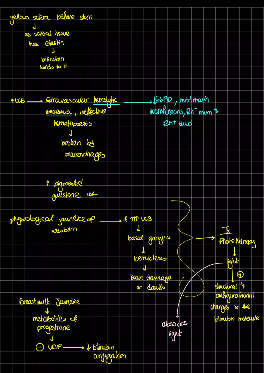 Causes of Jaundice - Page 2