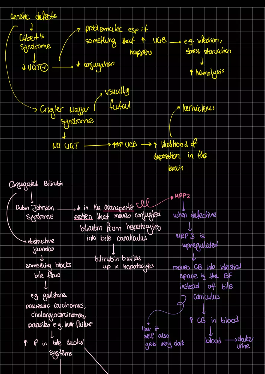 Causes of Jaundice - Page 3