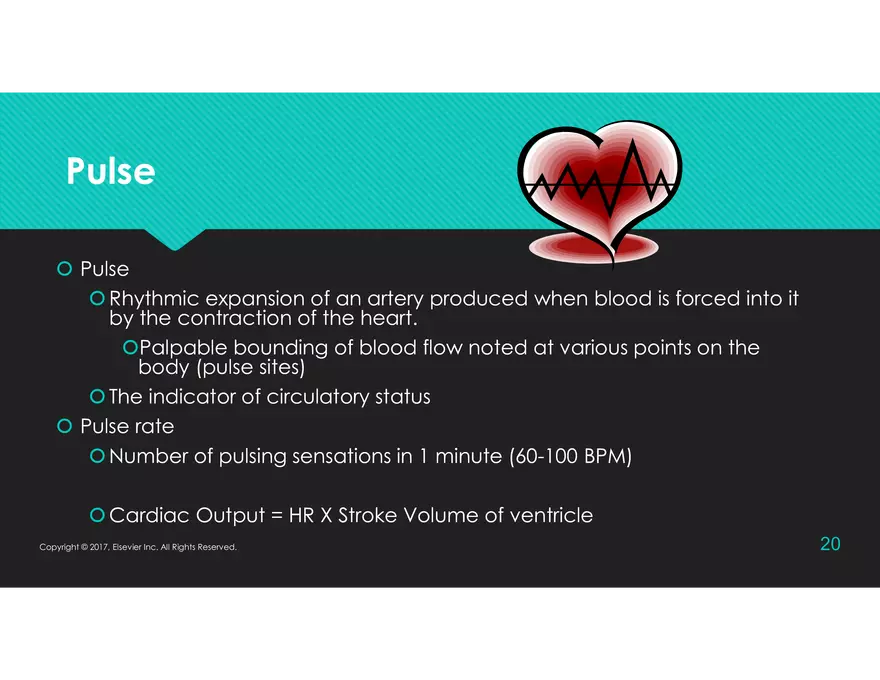 Vital Signs - Engage Fundamentals and Potter - Page 12