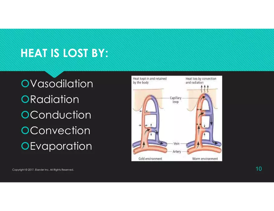Vital Signs - Engage Fundamentals and Potter - Page 55