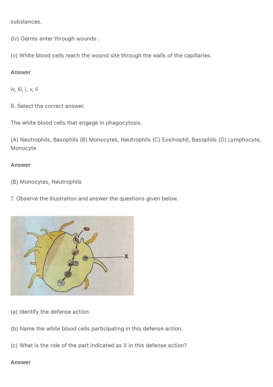 Question and Answers on the Topic Defense Mechanisms - Page 4