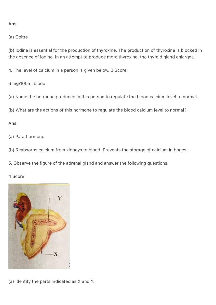 Hormones in humans-Q& A review - Page 3
