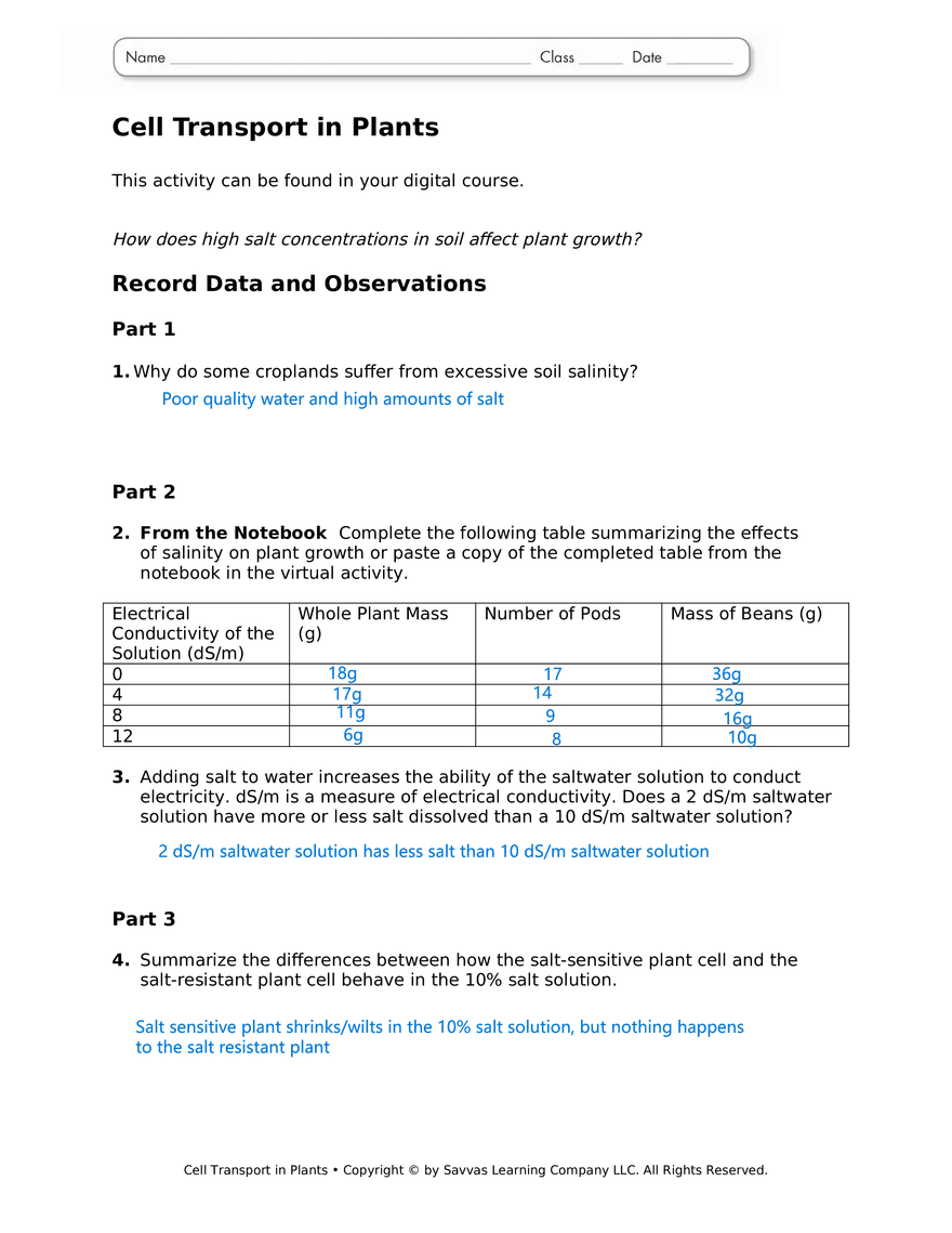 Cell Transport in Plant Cells - Page 1