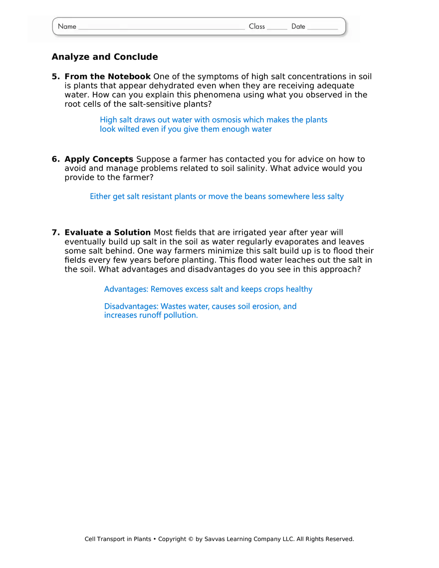Cell Transport in Plant Cells - Page 2