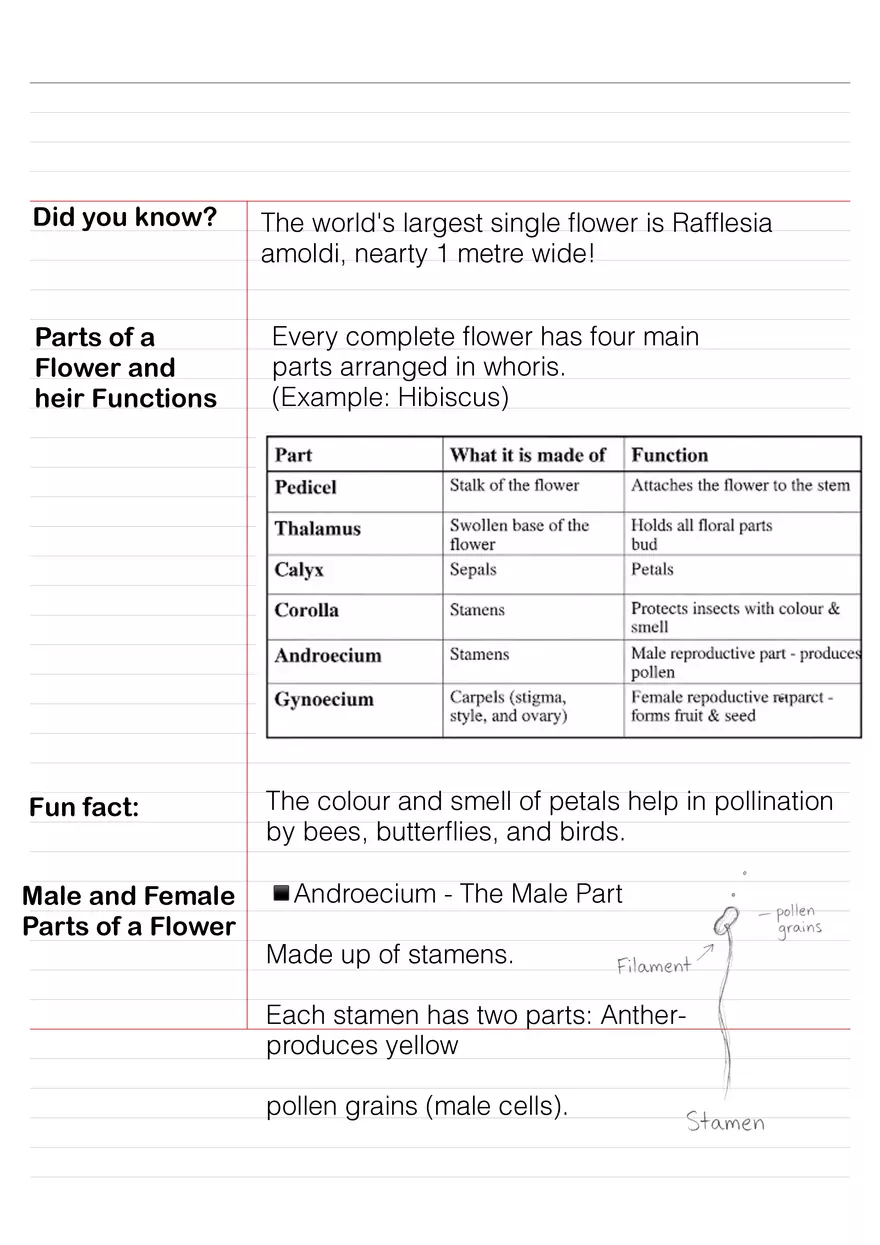 Biology Flowers Notes Structure and Diversity - Page 2