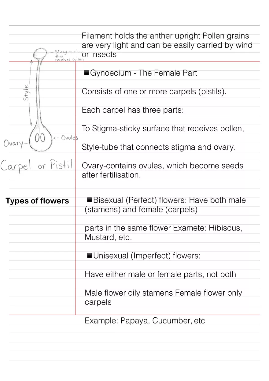 Biology Flowers Notes Structure and Diversity - Page 3