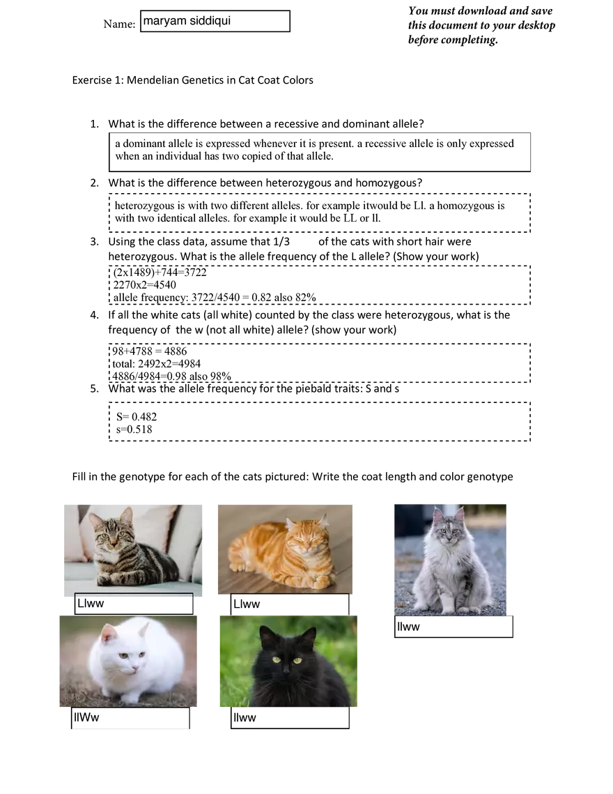 Cat Genetics Assignment - Page 1