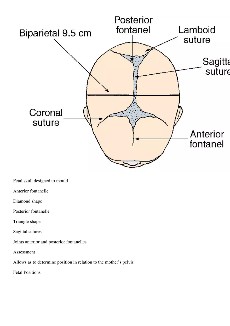 Vaginal Exam Basic info - Page 2
