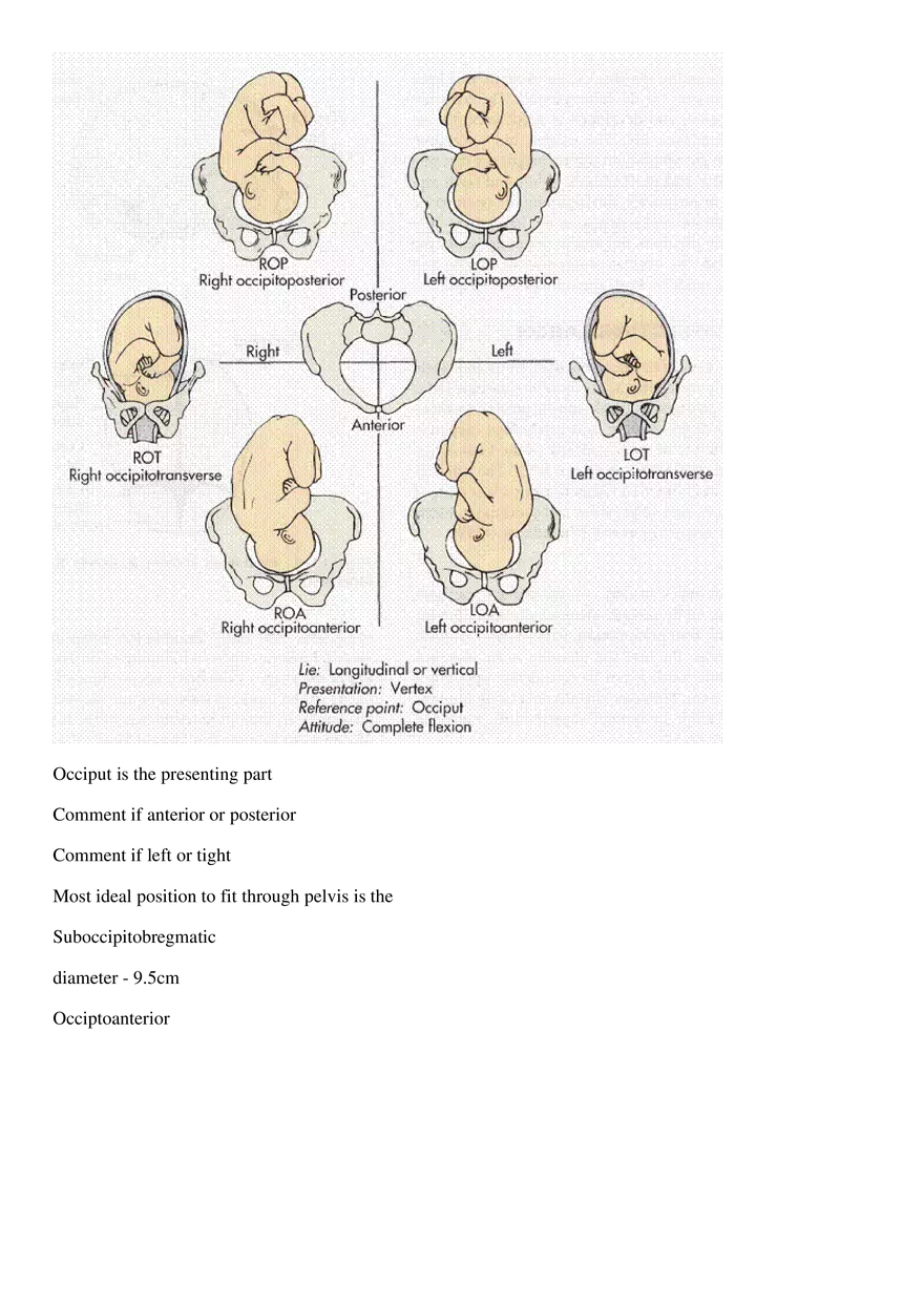Vaginal Exam Basic info - Page 3