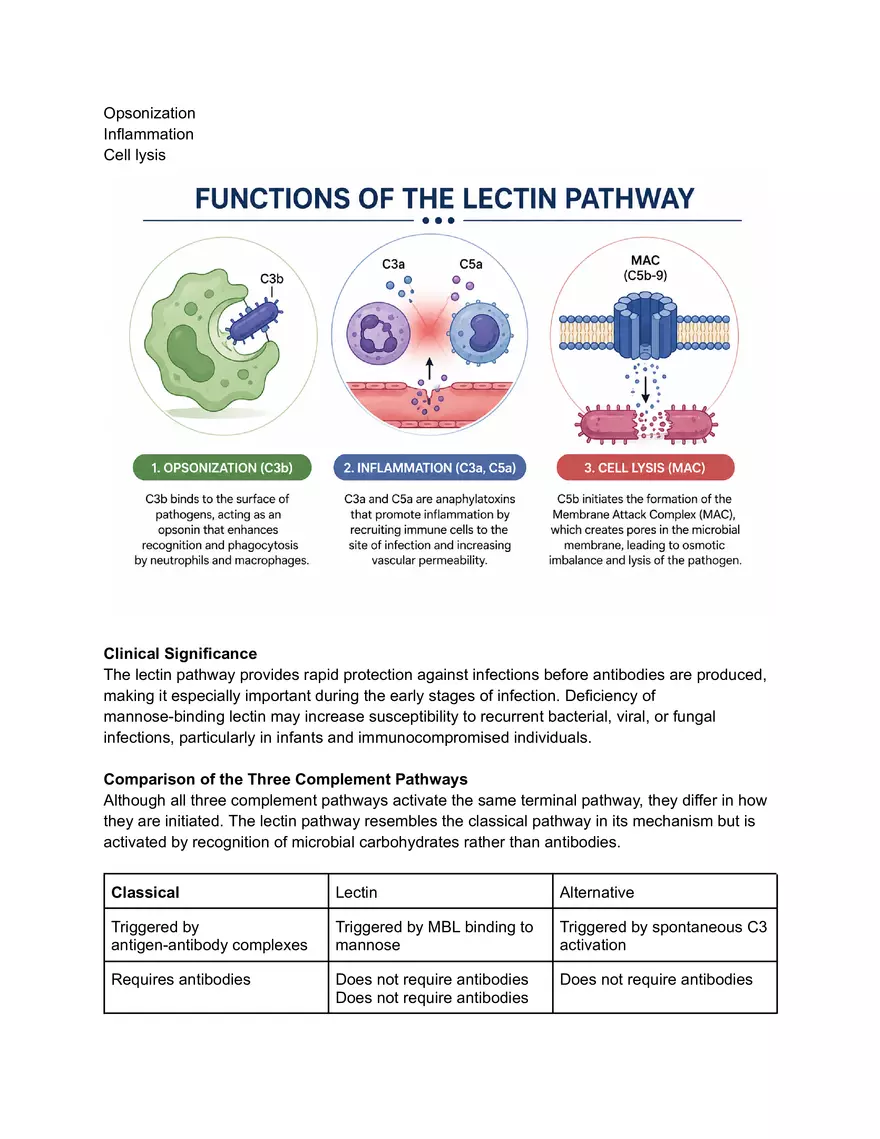 Lectin Pathway and Biological Roles of the complement System - Page 5