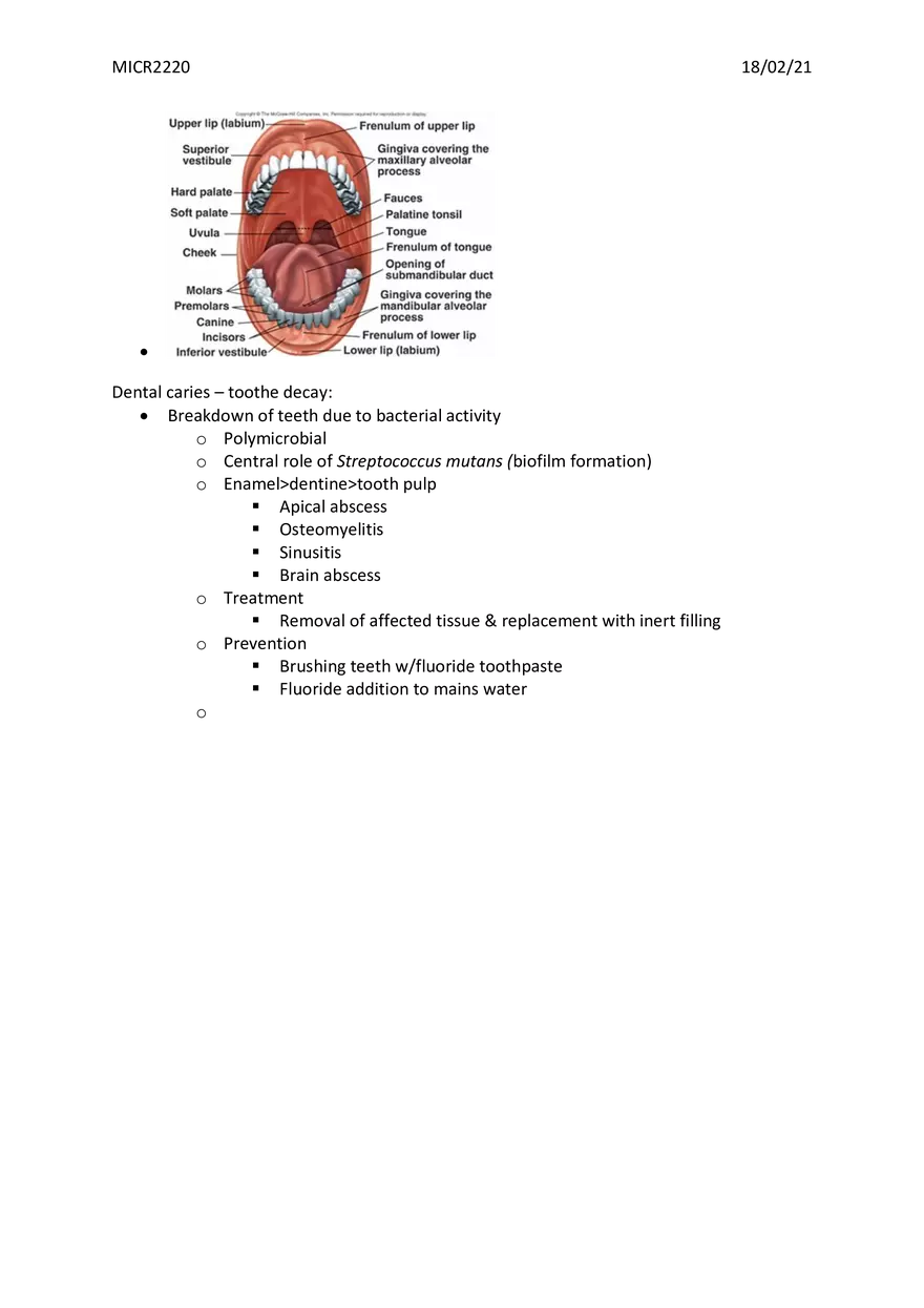 Bone, Joint and Soft Tissue Infections - Page 9