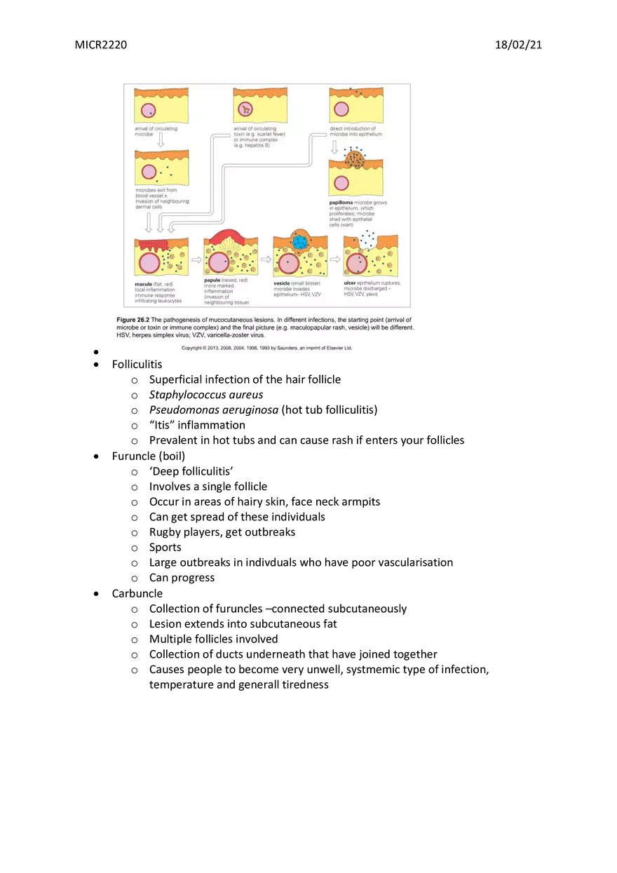 Bone, Joint and Soft Tissue Infections - Page 3