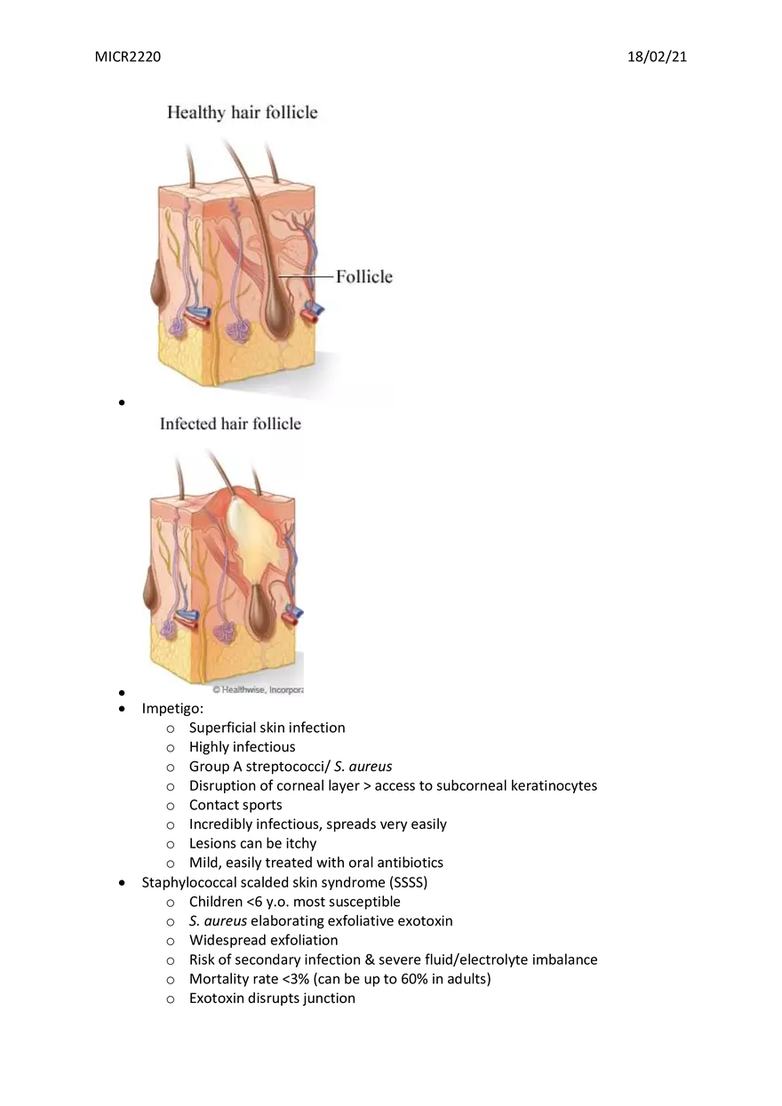 Bone, Joint and Soft Tissue Infections - Page 4